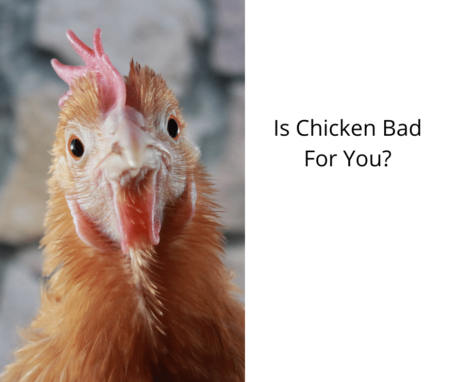 Is Chicken Bad For You?