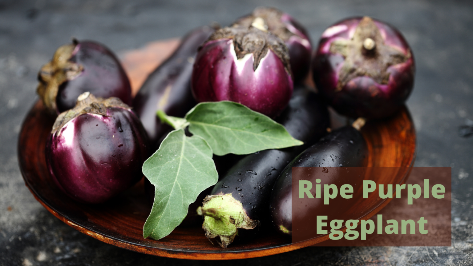 How to Tell If Your Eggplant is Going Bad by Looking at the Color on