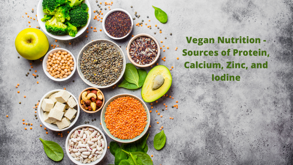 Vegan Nutrition Sources of Protein, Calcium, Zinc, and Iodine Vegan