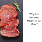 Why-Are-Humans-Meant-to-Eat-Meat
