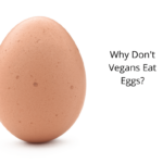 Why-Dont-Vegans-Eat-Eggs
