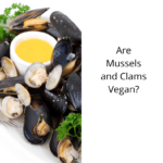 Are Mussels and Clams Vegan?
