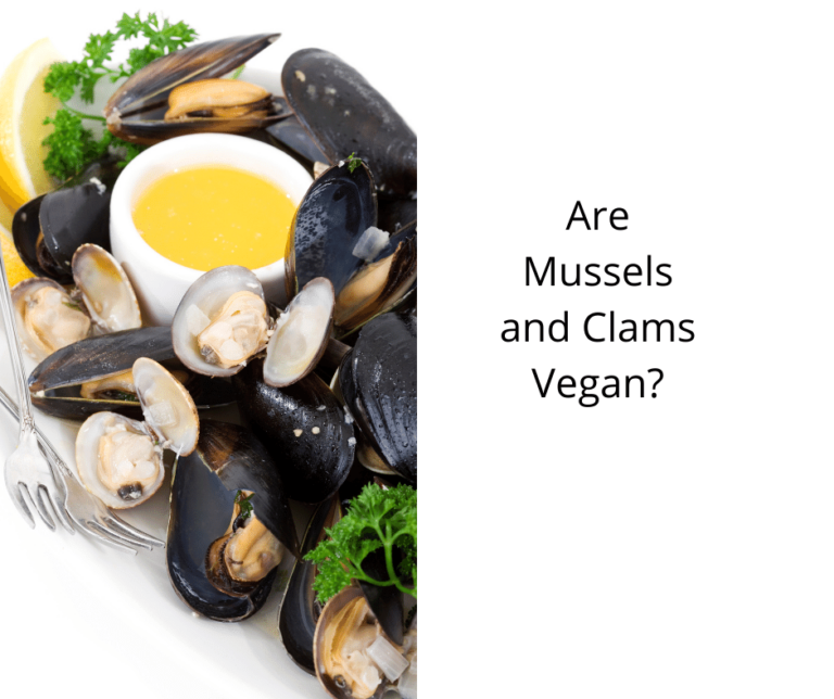 Are Mussels and Clams Vegan? Vegan Freaks