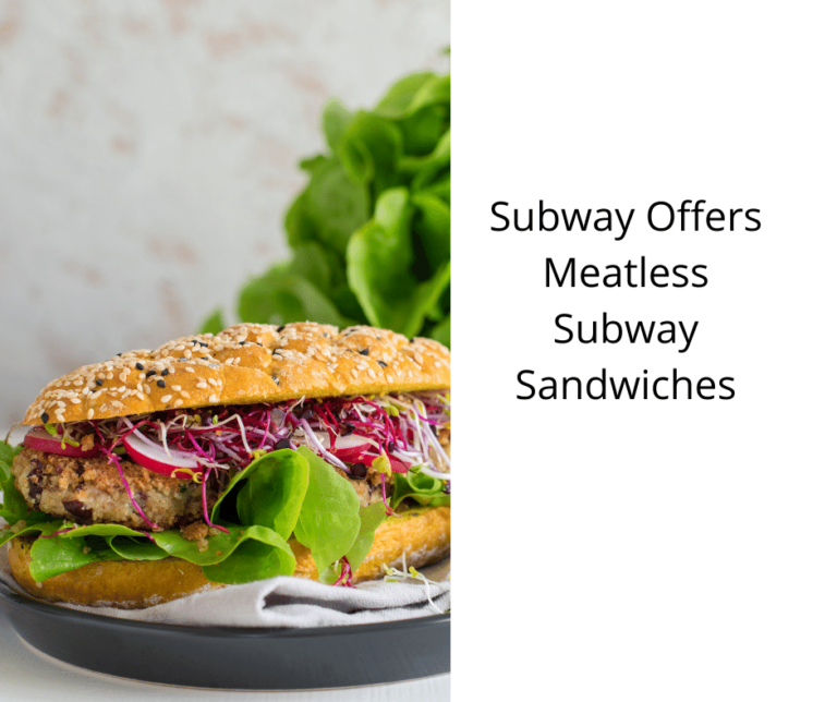 Subway Offers Meatless Subway Sandwiches Vegan Freaks