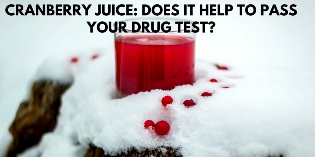 What Are Cranberry Juice Side Effects? Vegan Freaks