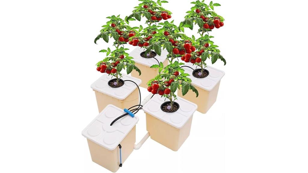 hydroponic 5 bucket system