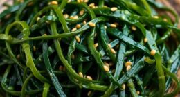 seaweed s mineral benefits