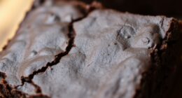 vegan healthy fudgy brownie