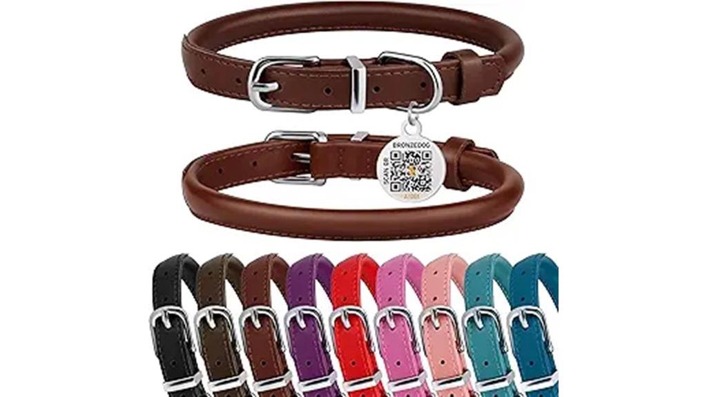 brass leather dog collar