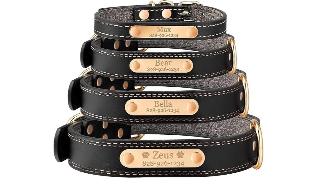 large custom name collar