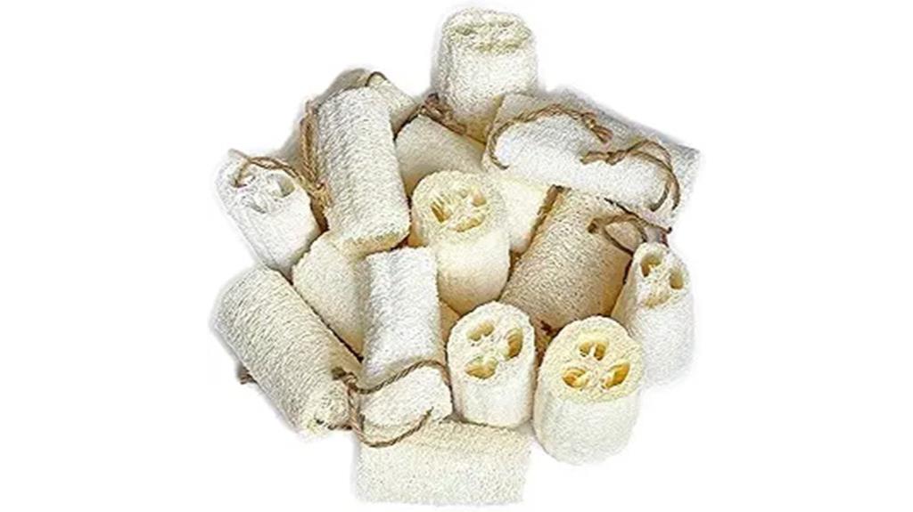 natural loofah body sponges