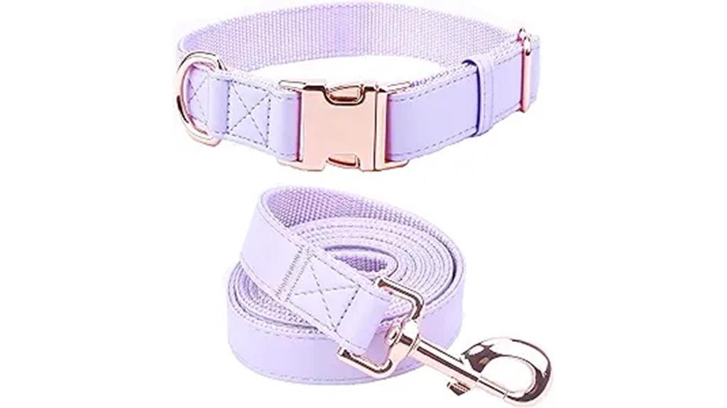 vegan leather dog accessories