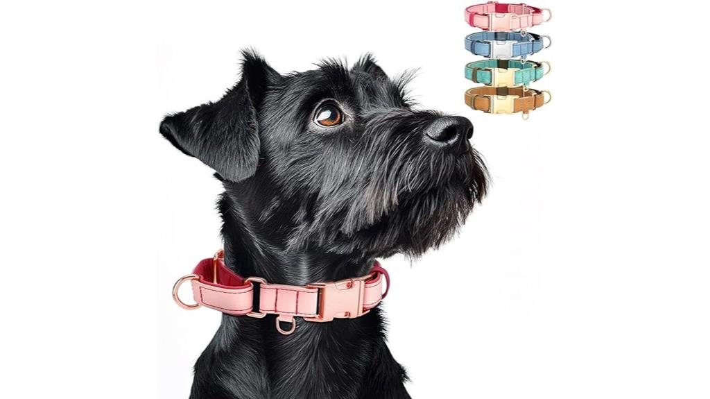 vegan leather dog collar
