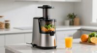 convenient juicer cleaning