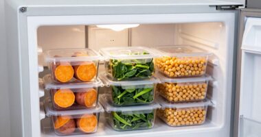 freezing vegan batch meals