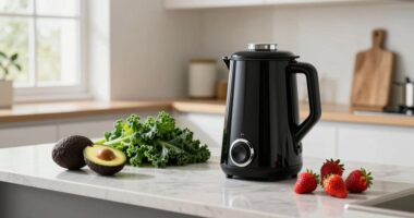 plant based blender review