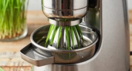 special juicer for wheatgrass