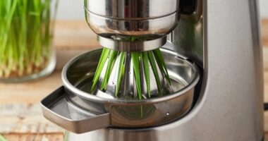 special juicer for wheatgrass