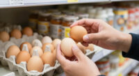 Egg Recall