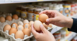 Egg Recall