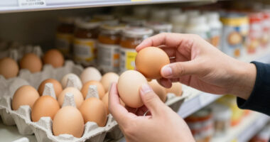 Egg Recall