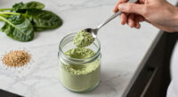 Plant-Based Protein Powders: A Back to school Guide