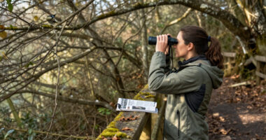 Birdwatching Rewires The Brain And Slows Cognitive Decline